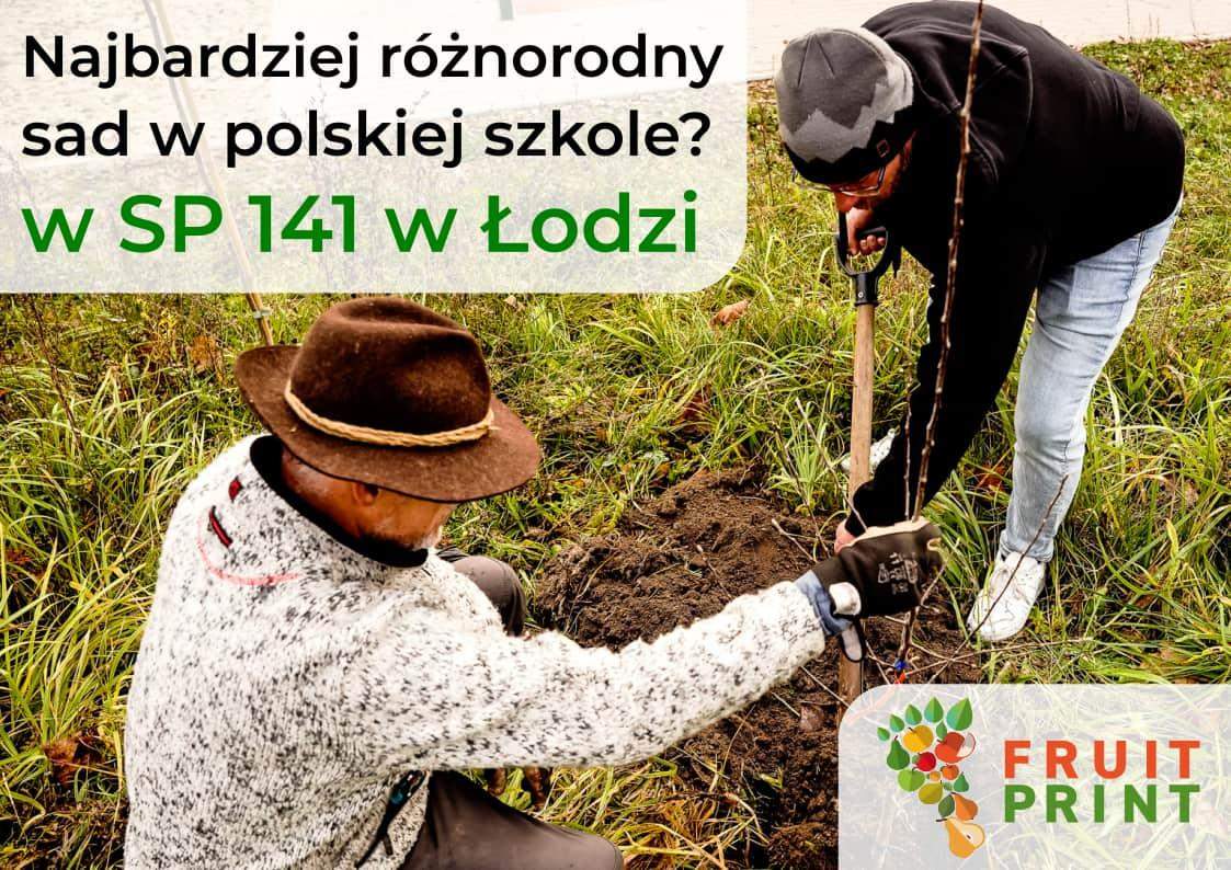 bioróżnorodny sad w SP 141 w Łodzi